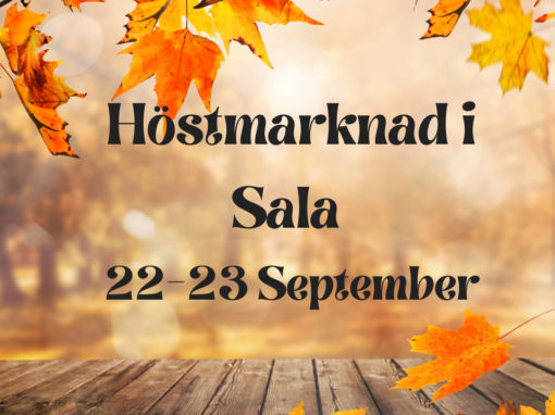 Höstmarknad på Torget i Sala