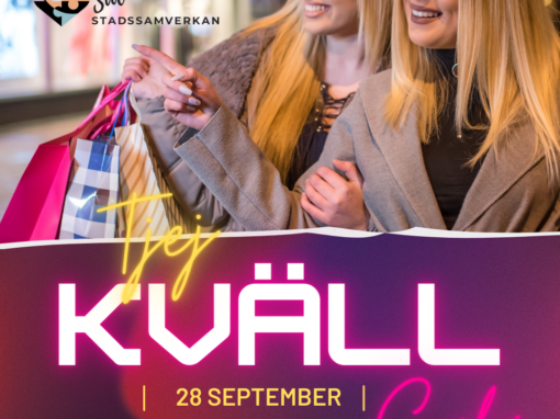 Tjejkväll på stan i Sala
